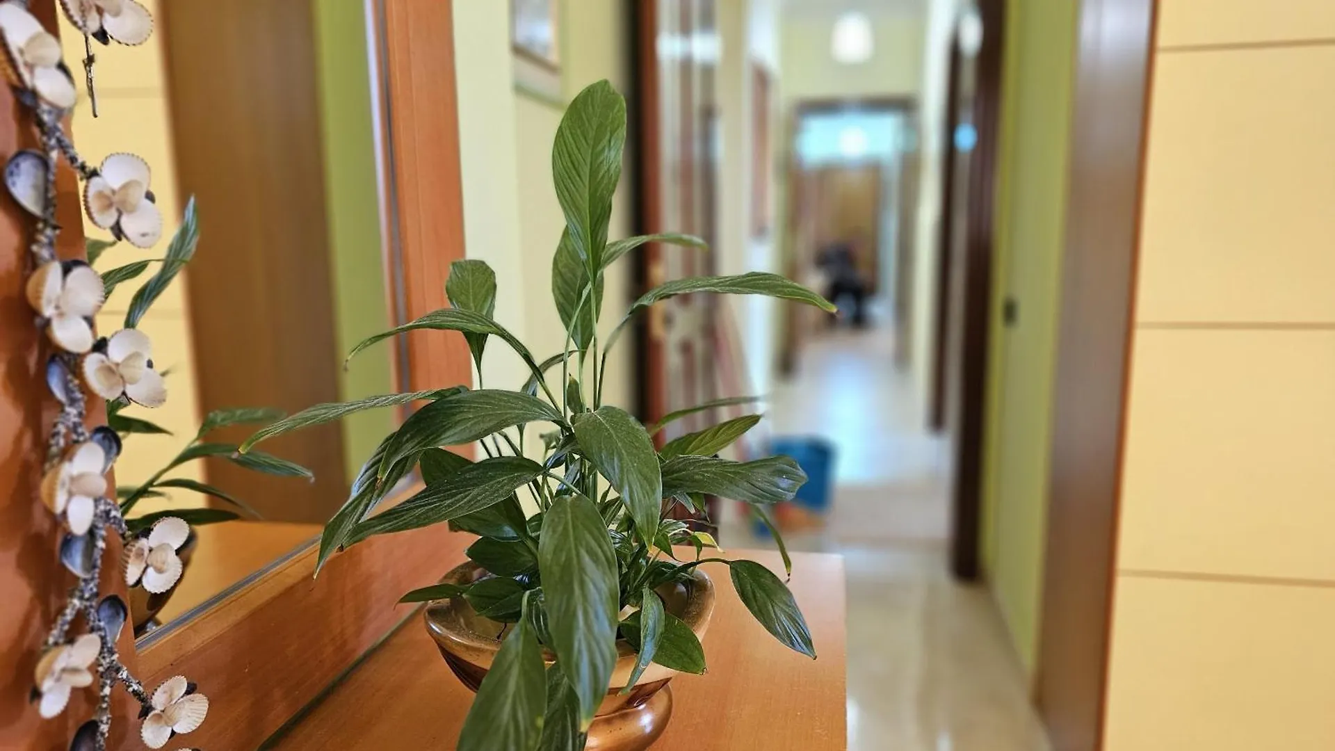 Geard Apartament Vlore 0*,